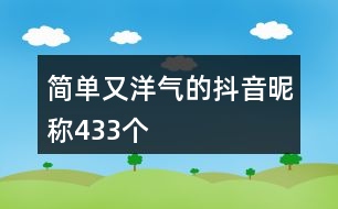 簡單又洋氣的抖音昵稱433個