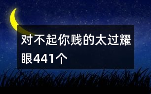 對不起你賤的太過耀眼441個