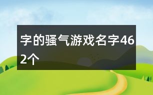 字的騷氣游戲名字462個(gè)