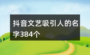 抖音文藝吸引人的名字384個