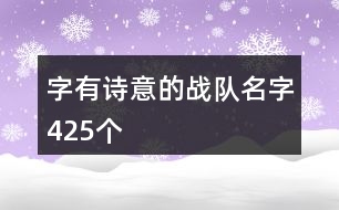 字有詩意的戰(zhàn)隊(duì)名字425個(gè)