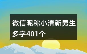 微信昵稱小清新男生多字401個