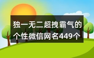 獨(dú)一無二超拽霸氣的個性微信網(wǎng)名449個