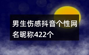 男生傷感抖音個(gè)性網(wǎng)名昵稱422個(gè)