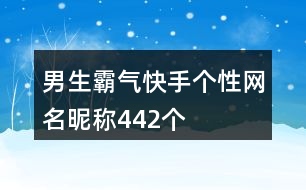 男生霸氣快手個性網名昵稱442個