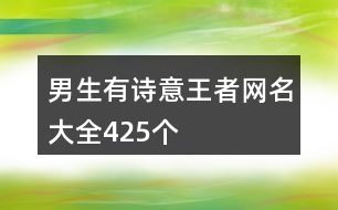 男生有詩意王者網(wǎng)名大全425個(gè)