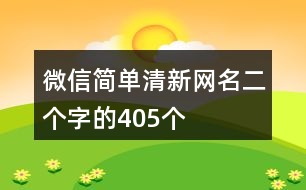 微信簡(jiǎn)單清新網(wǎng)名二個(gè)字的405個(gè)