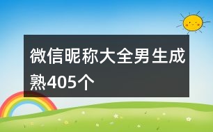 微信昵稱大全男生成熟405個(gè)