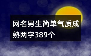 網名男生簡單氣質成熟兩字389個