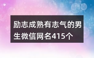 勵(lì)志成熟有志氣的男生微信網(wǎng)名415個(gè)