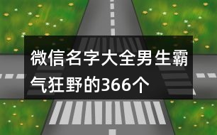 微信名字大全男生霸氣狂野的366個