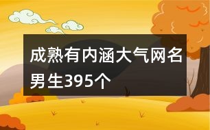 成熟有內(nèi)涵大氣網(wǎng)名男生395個