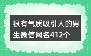 很有氣質吸引人的男生微信網(wǎng)名412個