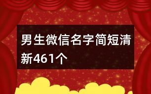 男生微信名字簡短清新461個