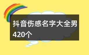 抖音傷感名字大全男420個