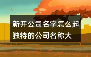 新開(kāi)公司名字怎么起,獨(dú)特的公司名稱大全432個(gè)