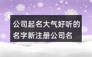 公司起名大氣好聽的名字,新注冊公司名稱大全440個