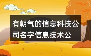 有朝氣的信息科技公司名字,信息技術(shù)公司名字大全437個(gè)