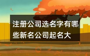 注冊(cè)公司選名字有哪些新名,公司起名大全最新版的413個(gè)