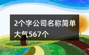 2個字公司名稱簡單大氣567個