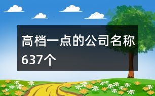 高檔一點(diǎn)的公司名稱637個(gè)