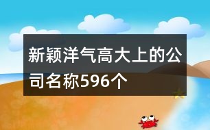 新穎洋氣高大上的公司名稱596個