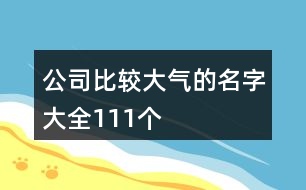 公司比較大氣的名字大全111個