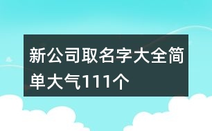 新公司取名字大全簡單大氣111個