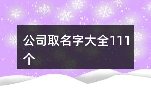 公司取名字大全111個