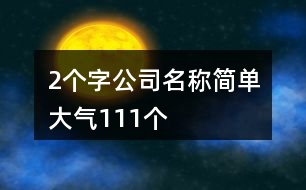 2個字公司名稱簡單大氣111個