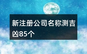 新注冊(cè)公司名稱測(cè)吉兇85個(gè)