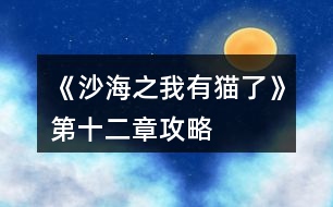 《沙海之我有貓了》第十二章攻略