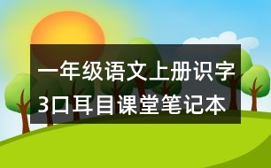 一年級(jí)語(yǔ)文上冊(cè)識(shí)字3口耳目課堂筆記本課知識(shí)點(diǎn)