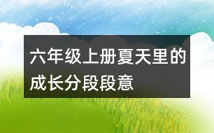 六年級上冊夏天里的成長分段段意