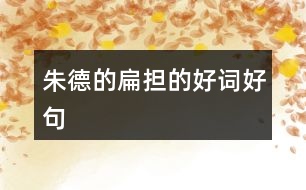 朱德的扁擔的好詞好句