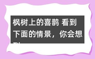 楓樹上的喜鵲 看到下面的情景，你會想到什么?試著寫下來。