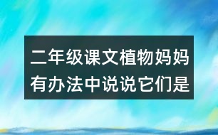 二年級課文植物媽媽有辦法中說說它們是怎么傳播種子的。