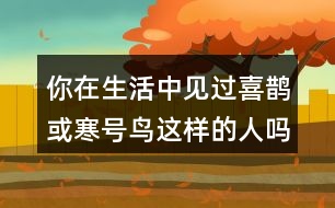 你在生活中見過喜鵲或寒號(hào)鳥這樣的人嗎?說說他的小故事。