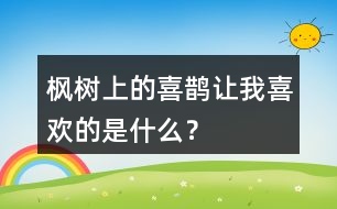 楓樹上的喜鵲讓我喜歡的是什么？