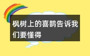 楓樹上的喜鵲告訴我們要懂得