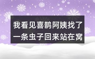 我看見(jiàn)喜鵲阿姨找了一條蟲(chóng)子回來(lái)站在窩邊，猜猜喜鵲弟弟會(huì)說(shuō)什么？