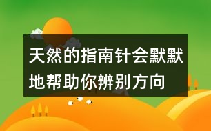 天然的指南針會默默地幫助你辨別方向