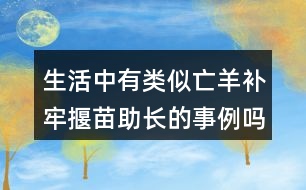 生活中有類似亡羊補(bǔ)牢揠苗助長的事例嗎說一說。