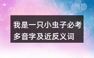 我是一只小蟲(chóng)子必考多音字及近反義詞