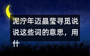 泥濘年邁晶瑩尋覓說說這些詞的意思，用什么方法知道的