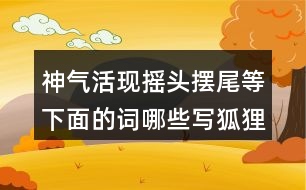 神氣活現(xiàn)搖頭擺尾等下面的詞哪些寫(xiě)狐貍，哪些寫(xiě)老虎的