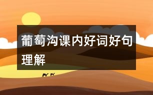 葡萄溝課內好詞好句理解