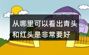 從哪里可以看出青頭和紅頭是“非常要好的朋友”?