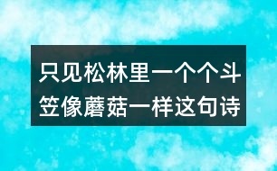 只見(jiàn)松林里一個(gè)個(gè)斗笠像蘑菇一樣這句詩(shī)的意思是什么？