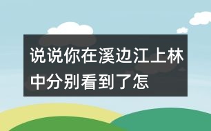 說說你在溪邊、江上、林中分別看到了怎樣的畫面,任選其中一個寫下來